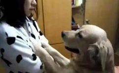 乖下面好硬快让我进去